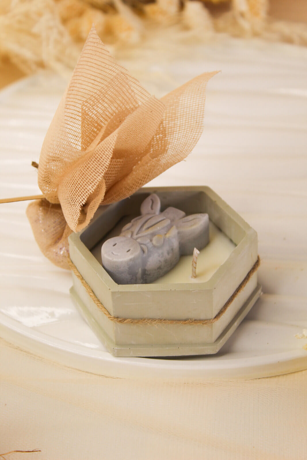 Μπομπονιέρα Βάπτισης Safari