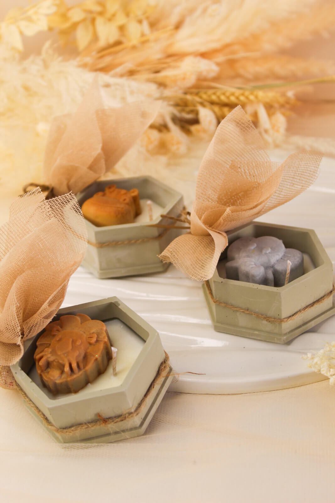 Μπομπονιέρα Βάπτισης Safari